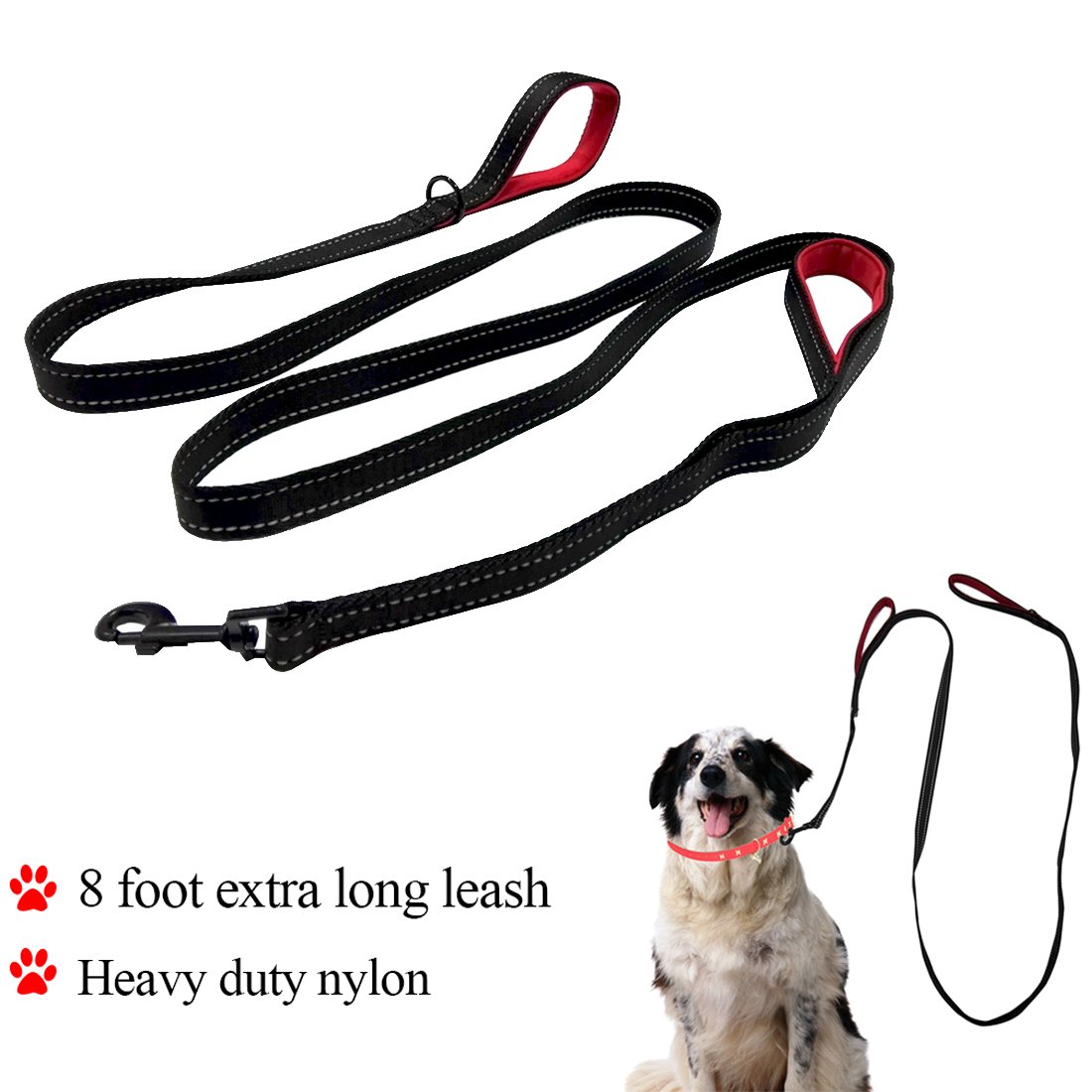 8 foot leash
