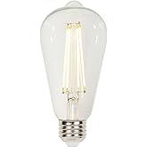 Westinghouse Lighting 5262000 6.5 Watt (60 Watt Equivalent) ST20 Dimmable Clear Filament LED Light Bulb, Medium Base