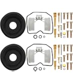パーツ shirakaba Amazon.com: All Balls Racing 26-1646 Carburetor Rebuild Kit