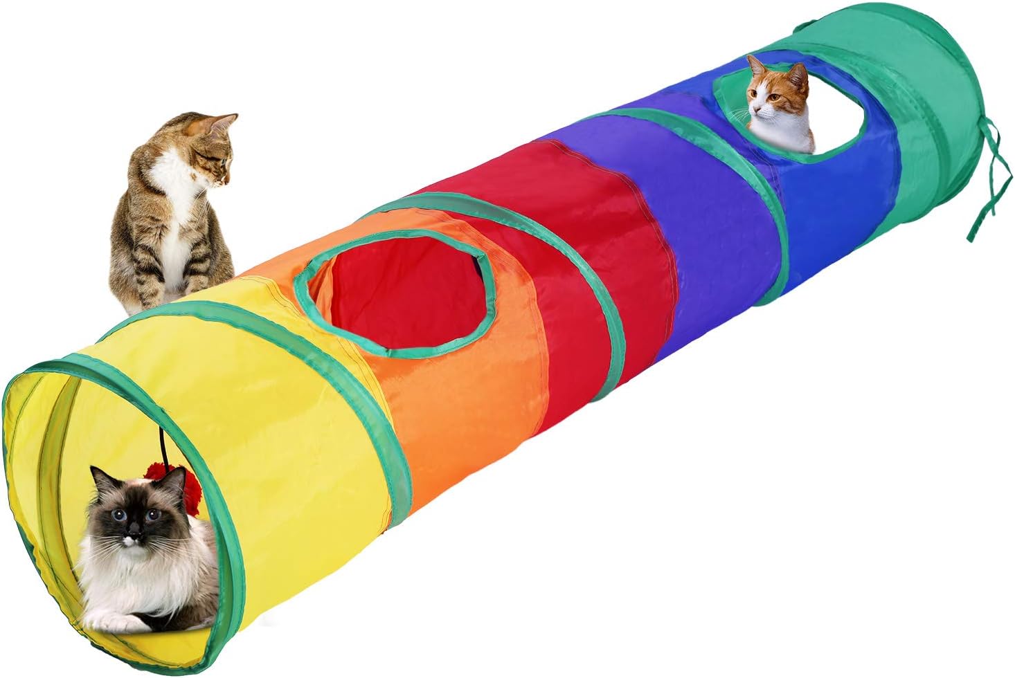 large cat tunnel