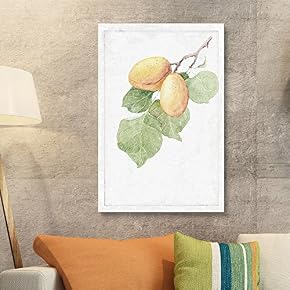 Hand Drawn Apricot Fruit Tree Series Artwork