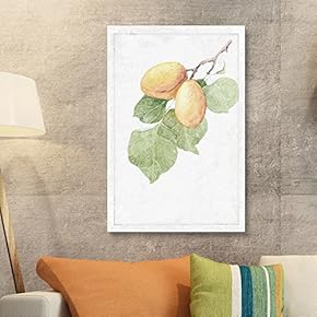 Canvas Wall Art - Hand Drawn Apricot Fruit Tree Series Artwork - Giclee Print Gallery Wrap Modern Home Art Ready to Hang - 12x18 inches