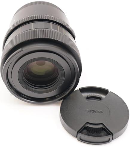 Amazon.com : 24mm F2 DG DN for Sony E : Electronics