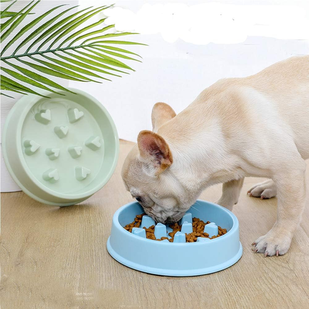 cat food dish to slow down eating
