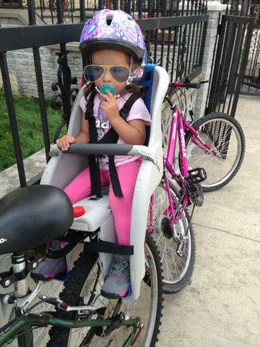 schwinn deluxe child carrier