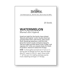 Burpee Mama's Girl Watermelon Seeds 25 seeds