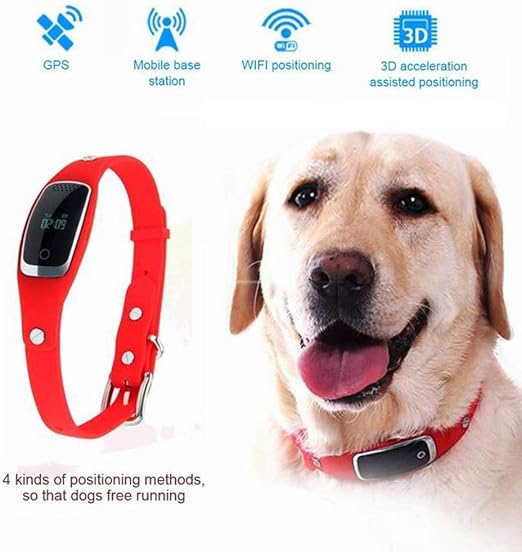 pet tracker amazon