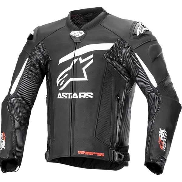 Amazon.com: Alpinestars Faster V2 Leather Jacket 48, Black/Red