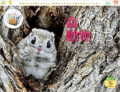 カレンダー22 太田達也セレクション 森の動物たち Tiny Story In The Forests 月めくり 壁掛け ヤマケイカレンダー22 太田 達也 本 通販 Amazon