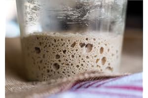 GENERIC WWJD Soviet Rye Sourdough Starter. Organic Fresh Active Russian heritage sour yeast culture. From Russia with Love