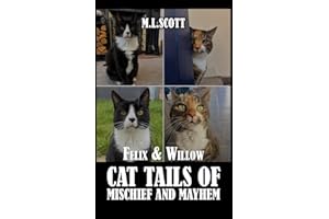 Felix & Willow cat tails of mischief and mayhem