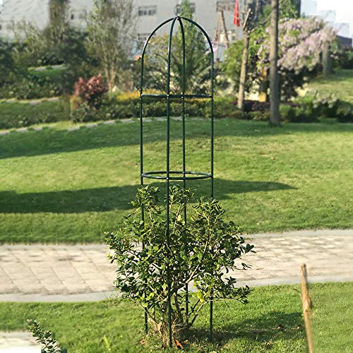 HANTURE 1,4 m Garten Obelisk Rankgitter, Kletterpflanzen Metall Stützständer Zylindrischer Turm, Dekorative Vertikale… – Bild 7