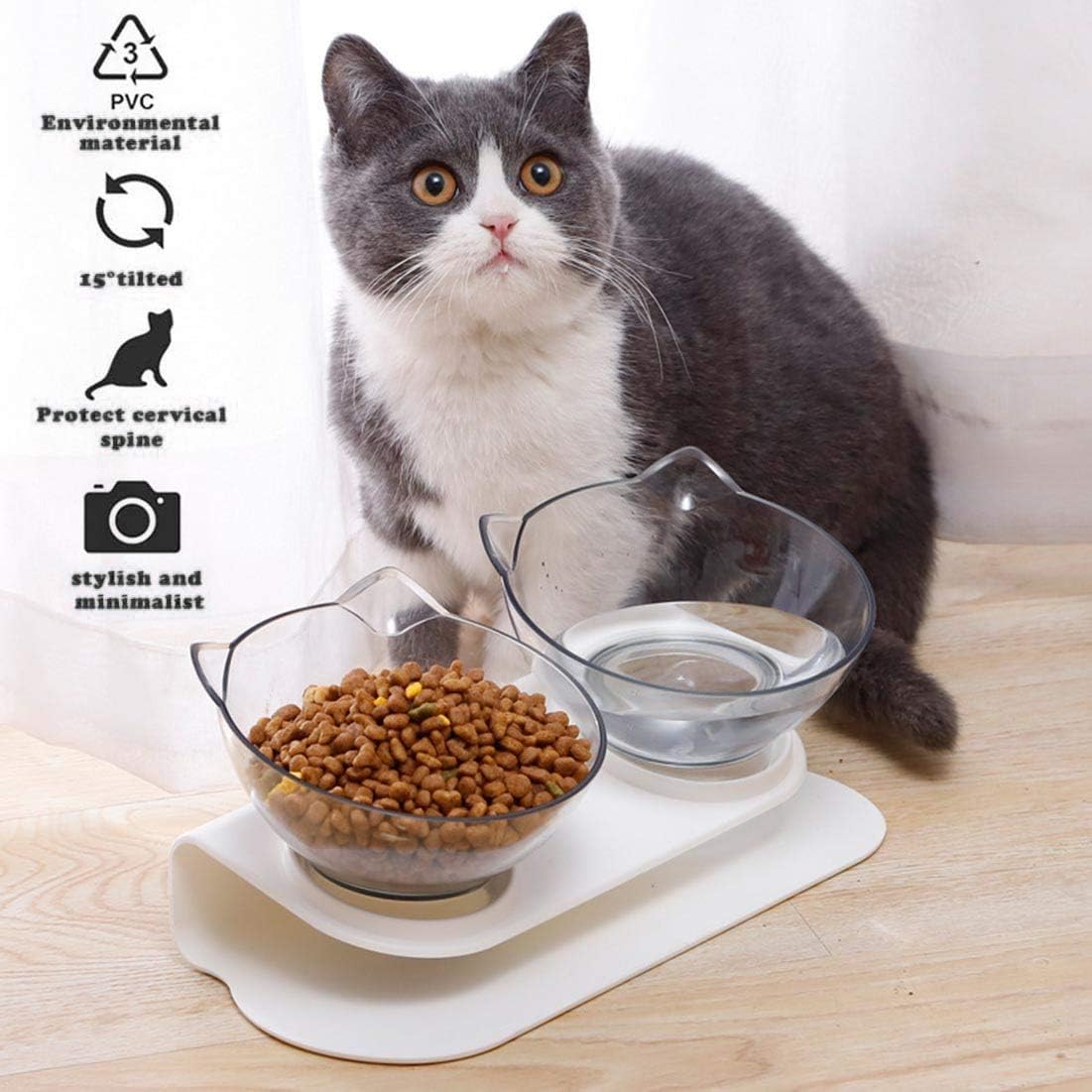 cats putting food in water bowl