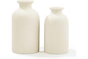 White Ceramic vases Home Decor 2pcs Small vase Set Boho vase Modern Farmhouse Decor (White)