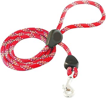 gray standard poodle