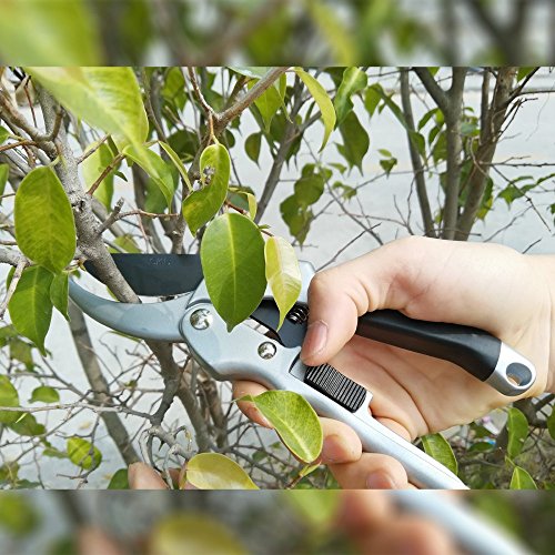 image for chic style Pruning Shears, Tree Trimmer, SK-5 Steel Blade Garden Shear