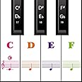 MUYOS Piano Keyboard Stickers for 88/61/ 54/49 Key,Colorful Transparent Removable for Kids Beginners (Full Color)