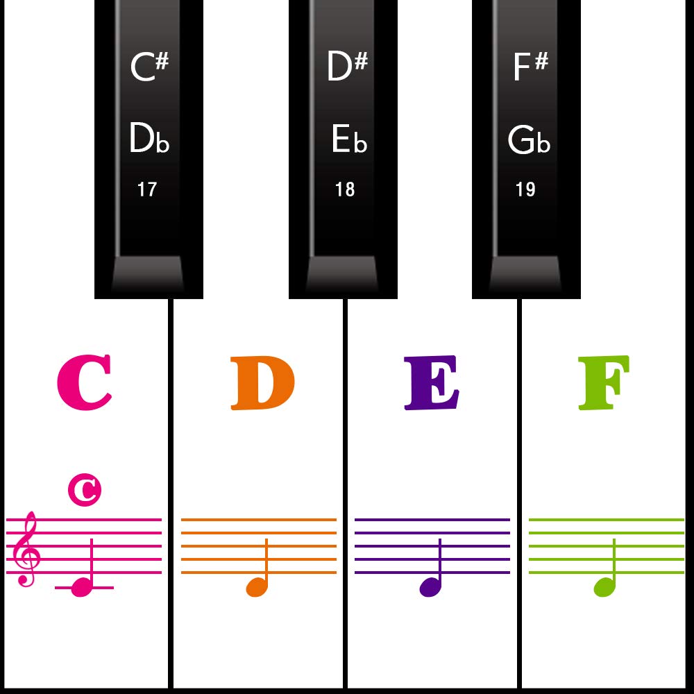 MUYOS Piano Keyboard Stickers for 54/61/88 Keys – Transparent & Removable Piano Keyboard Note Stickers and Piano Key Labels for Kids and Beginners (Sticker FullColor)