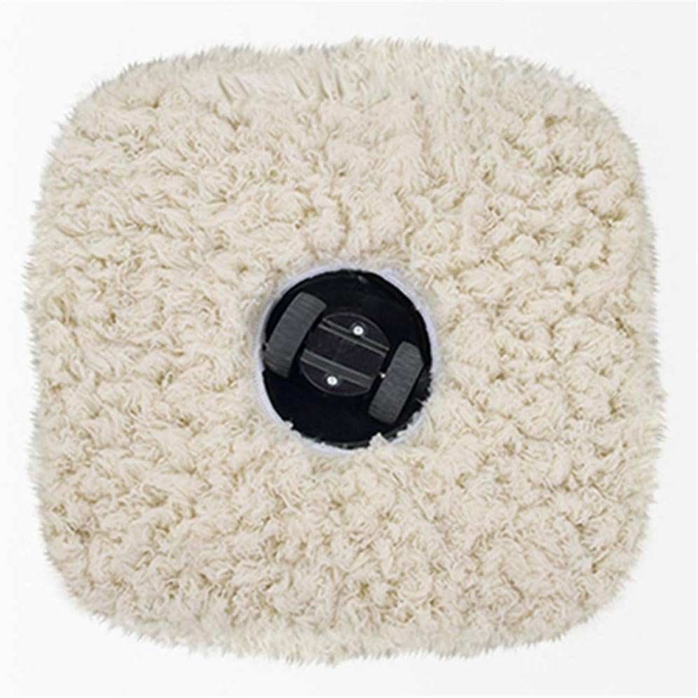 spazzatrice a batteria per tappeti