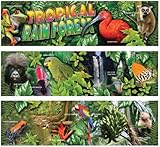 Carson Dellosa Mark Twain Tropical Rain Forest Bulletin Board Set (410039)