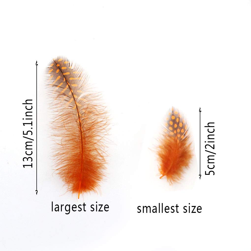 Bunte Federn, 180 Stück Deko-Federn für DIY Hochzeit Feder Basteln Federn Halloween Fest versch - Ideal als Dekoration zum Karnival für Masken und Kostüme