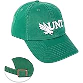 Desert Cactus University of North Texas Baseball Hat UNT Mean Green Brimmed Embroidered Hats Cap Adjustable Cloth Strap Adult (Style C)