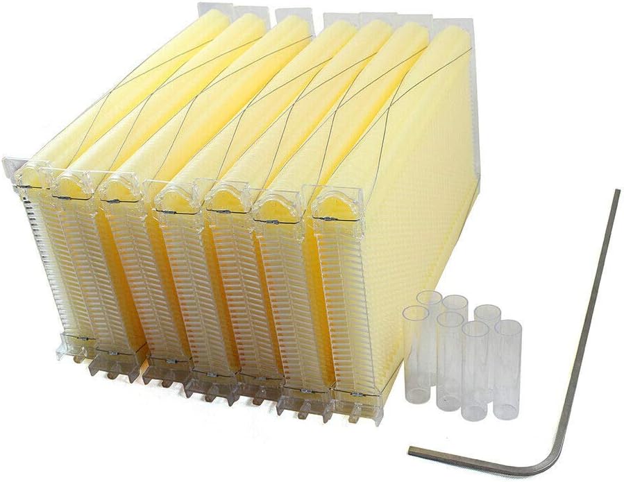 Auto Hive Frames Honey Beehive Frames Beekeeping Honey Raw Harvesting Hive Frames