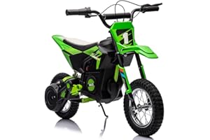 PALBY'S 24V 7ah Kids Ride on Motorcycle,13.6MPH Fast Speed Electric Battery-Powered Off-Road Motocross with 250W Strong Motor, Chain-Driven,Leather Seat,Disc Brake,Air-Filled Tires (Green)