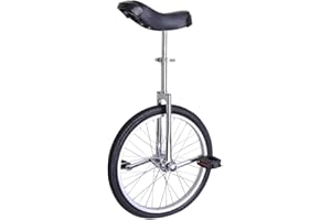 ZeHuoGe 16" Unicycle Excellent Manganese Steel Frame Leakage Protection Mute Bearing US Delivery