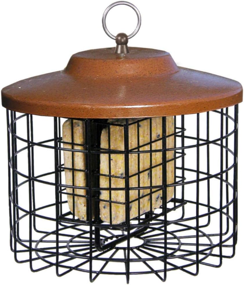 Squirrel-X Squirrel Proof Double Suet Feeder, Cage Bird Feeder, 2 Suet Cake Capacity : Suet Bird Feeders : Garden & Outdoor