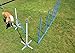 Triple A Dogs Combo 1 Dog Agility Jump/6 Dog Agility Weave Poles Buy Combo and Save, Dog Training, Dog Jumps, Dog Hurdles, Agility Equipment,