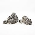 KINGRUI Natural Aquarium Rocks Silver Seiryu Rock Mountain Stone 2-9inch Decor Rocks for Aquariums and Terrariums Animal Feeding Box, Micro Landscape, Stone Landscape and Bonsai.(20lb 2-9inch 7-8Pcs)