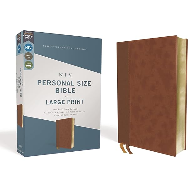 NIV, Reference Bible, Compact, Leathersoft, Pink, Red Letter