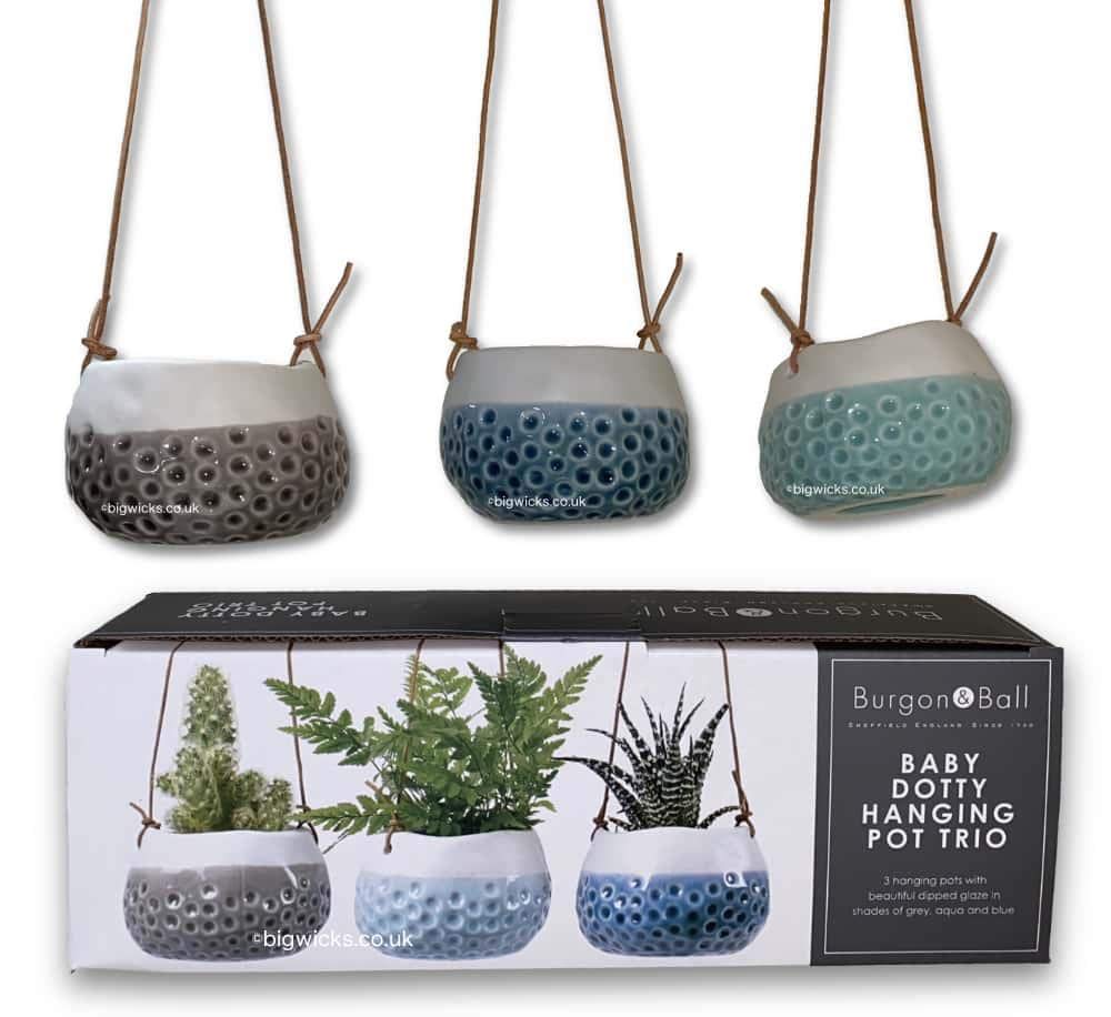 Burgon & Ball 'Baby Dotty' Trio Hanging Pot in Gift Box