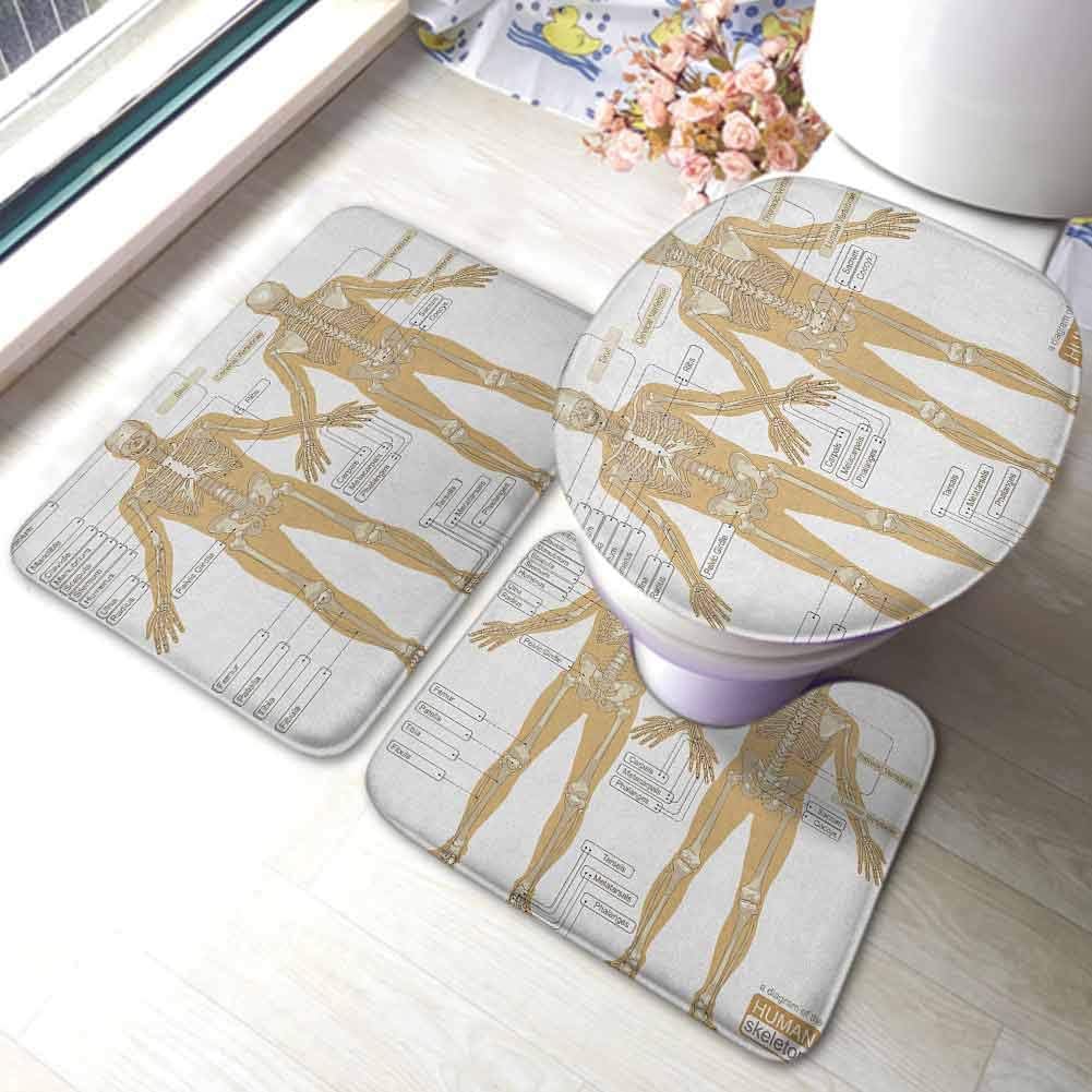 Human Anatomy 3-Piece Bath Rug Set Diagram of Human Skeleton System with Titled Main Parts of Body Joints Picture,Non Slip Bath Mat Set White Tan