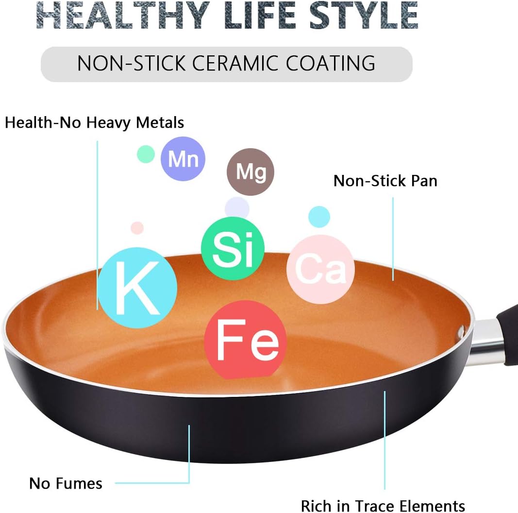 FRUITEAM 9 1/2 inch Fry Pan Non-stick Frying Pan with Lid, Aluminum Cookware with Induction Plate for Even Heating, Gas & Stovetops Safe, Black: Kitchen & Dining