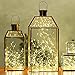 Kohree 60 Micro LEDs Chtistmas String Light AA Battery Powered on 10ft Long Ultra Thin String Copper Wire, Decor Rope Light with Timer and Battery Box for Weddings, Garden, Patio, Tree, Party, Xmas