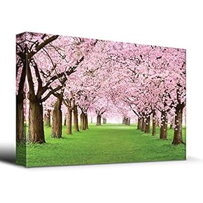 Cherry Blossoms line Path - Canvas Art Home Art - 12x18 inches