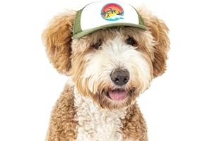 Sunset Collection, PupLid Trucker Hats for Dogs (Small) Premium Stylish Sun Protection for The Modern Dog - Adjustable for Secure Comfortable Fit on Active Dogs (Green, Surfer Dog)