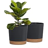 kubvici Plant Pots for Indoor Plants, 2 Pack 8 Inch Plastic Flower Pot Planters with Drainage Saucer for Indoor Outdoor Garde