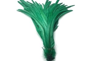 Shekyeon 13-16inch 33-40cm Rooster Coque Tail Feather for Costume Decoration Pack of 20 (Dark Green)