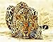 RIHE Leopard Animal Paint By Number Diy Oil Painting PBN Kit for Adults Girls Kids Christmas 16x20inch (Frameless)