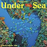 Under the Sea 2020 Wall Calendar by 