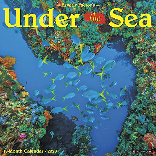 R.E.A.D Under the Sea 2020 Wall Calendar ZIP