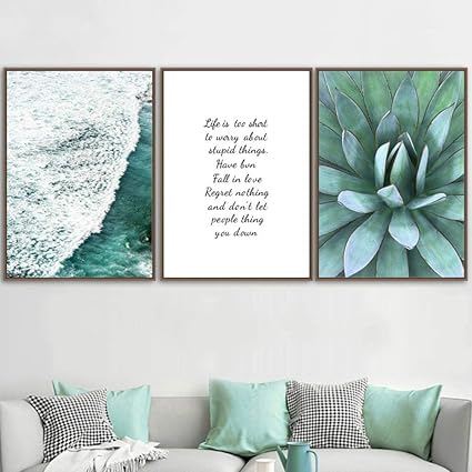 Amazon Com Heirloom Agave Lophantha Quadricolor Variegated Exotic Rare Succulent Plant Cactus 2 Pot Garden Outdoor