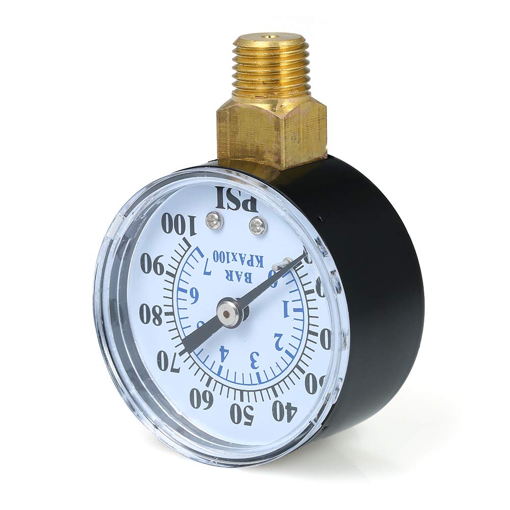 The 10 Best Water Filter For Festnight Pools