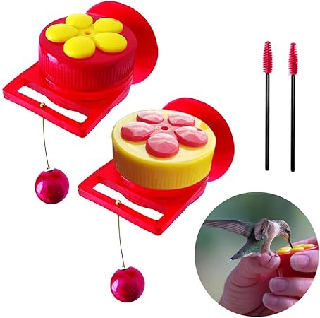 Amazon Com Hummingbird Feeder Handheld Window For Outdoors Wild