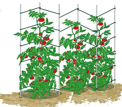 ecotrellis ampliable Wave enrejado, enrejado, Pea pared de tomate ...