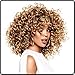 Pantene Pro-V Radiant Color Shine Shampoo and Conditioner Bundle Pack (Packaging May Vary)