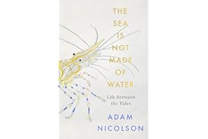 The Sea is Not Made of Water: Life Between the Tides